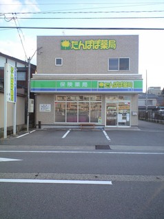 たんぽぽ薬局泊店