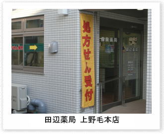 田辺薬局　上野毛本店