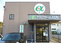 アルファーム薬局 協和店