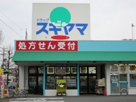 ドラッグスギヤマ 神の倉店