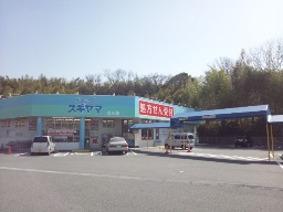 ドラッグスギヤマ 百々店