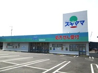 ドラッグスギヤマ 豊田浄水店