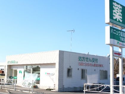 ハニュウ薬局 下妻店