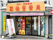 松仙堂薬局本店