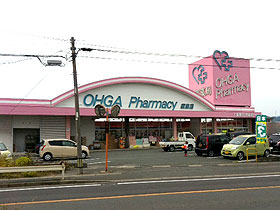 大賀薬局 須恵店