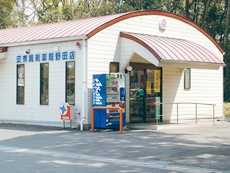 安東調剤薬局野田店