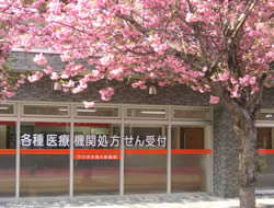 クリオネ南4条薬局