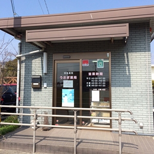 うさぎ薬局 中原店