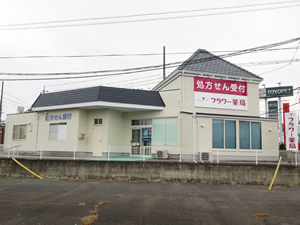 フラワー薬局蓮花寺店