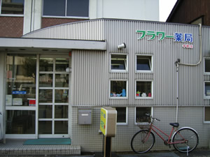 フラワー薬局中部店