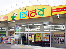 どらっぐぱぱす 下丸子店