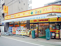 どらっぐぱぱす 板橋清水町店