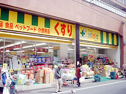 どらっぐぱぱす　滝野川店