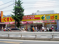 どらっぐぱぱす 王子神谷店