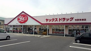 ヤックスドラッグ市原青柳薬局